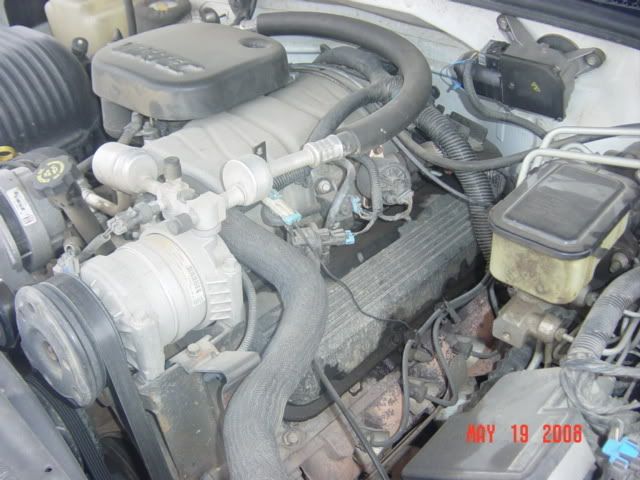 DuallyWhite97002.jpg