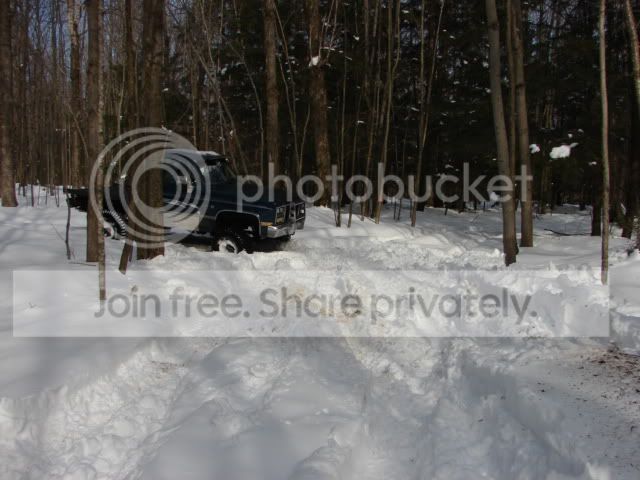 DSC01594.jpg