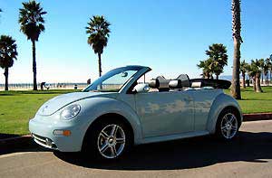vw_bug_profile_2.jpg