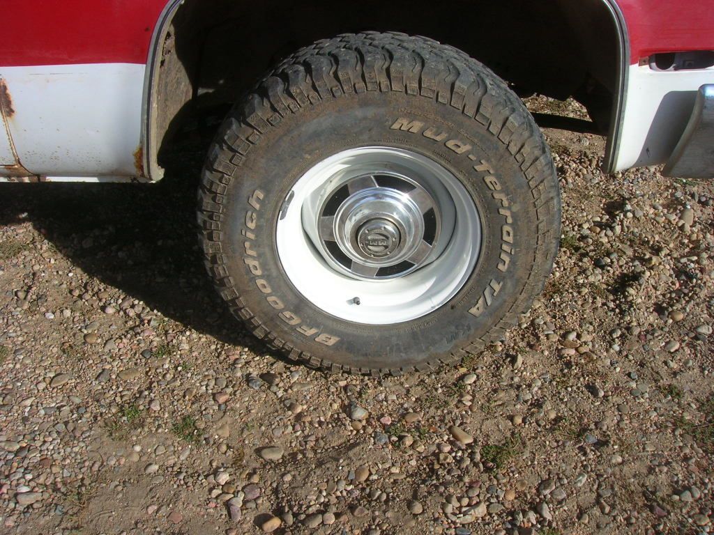 DSCN9771.jpg