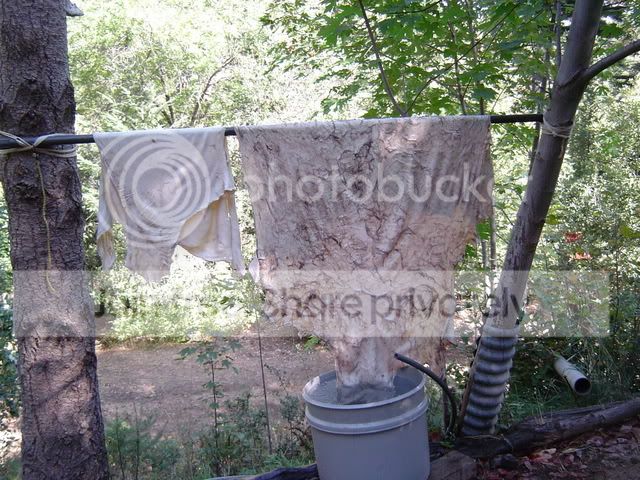 DSC04317.jpg