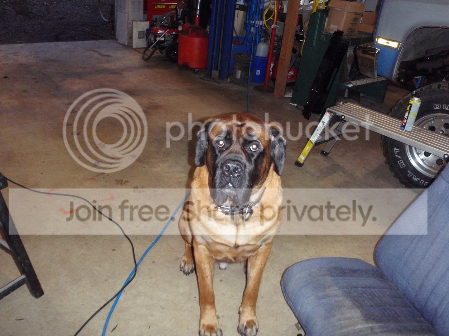 P4250505_zpsgvvlufy7.jpg