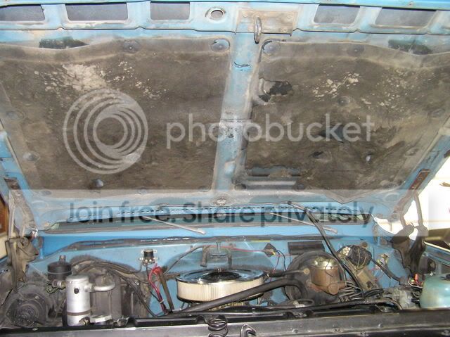 PC170047.jpg