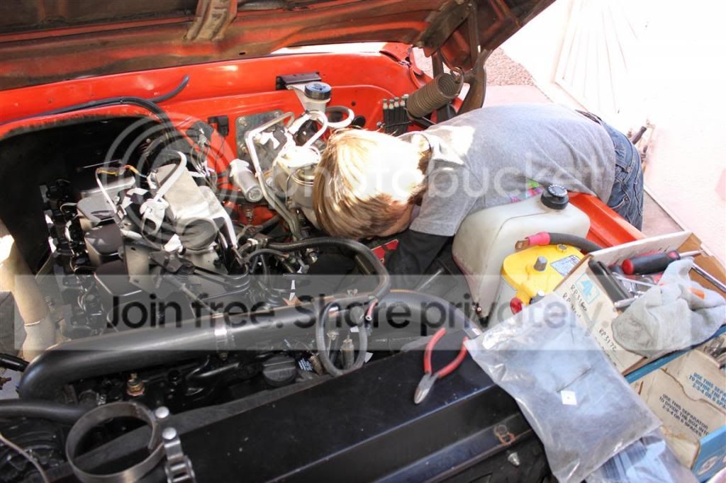 IMG_9101Medium_zpsd4263b5a.jpg