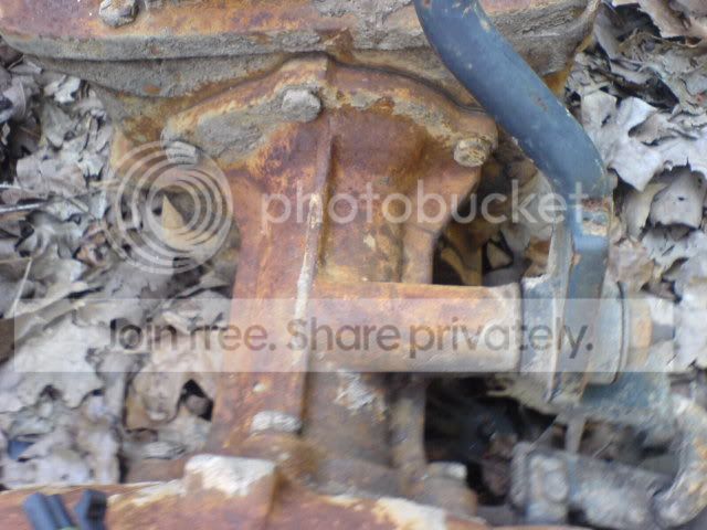 DSC00718.jpg
