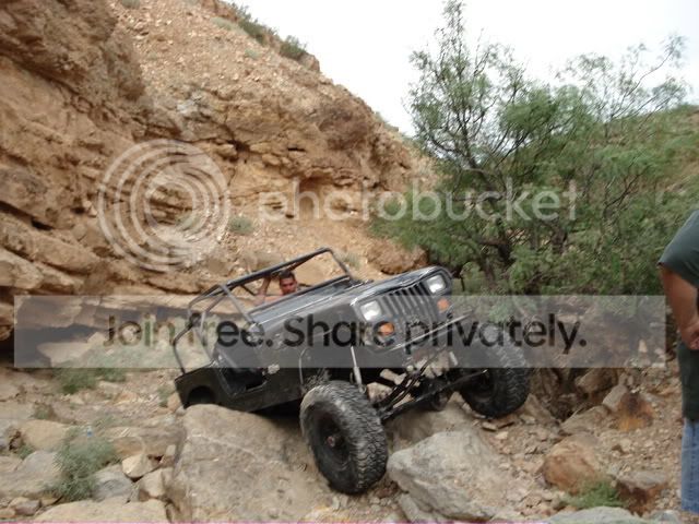 rocotillosmall002.jpg