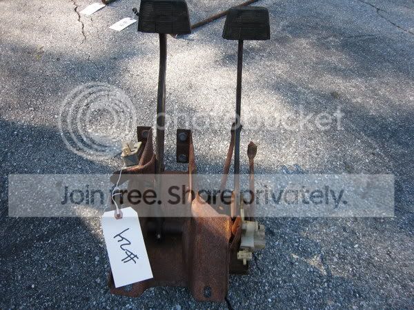 24d.jpg