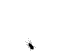 avatar29503_12.gif