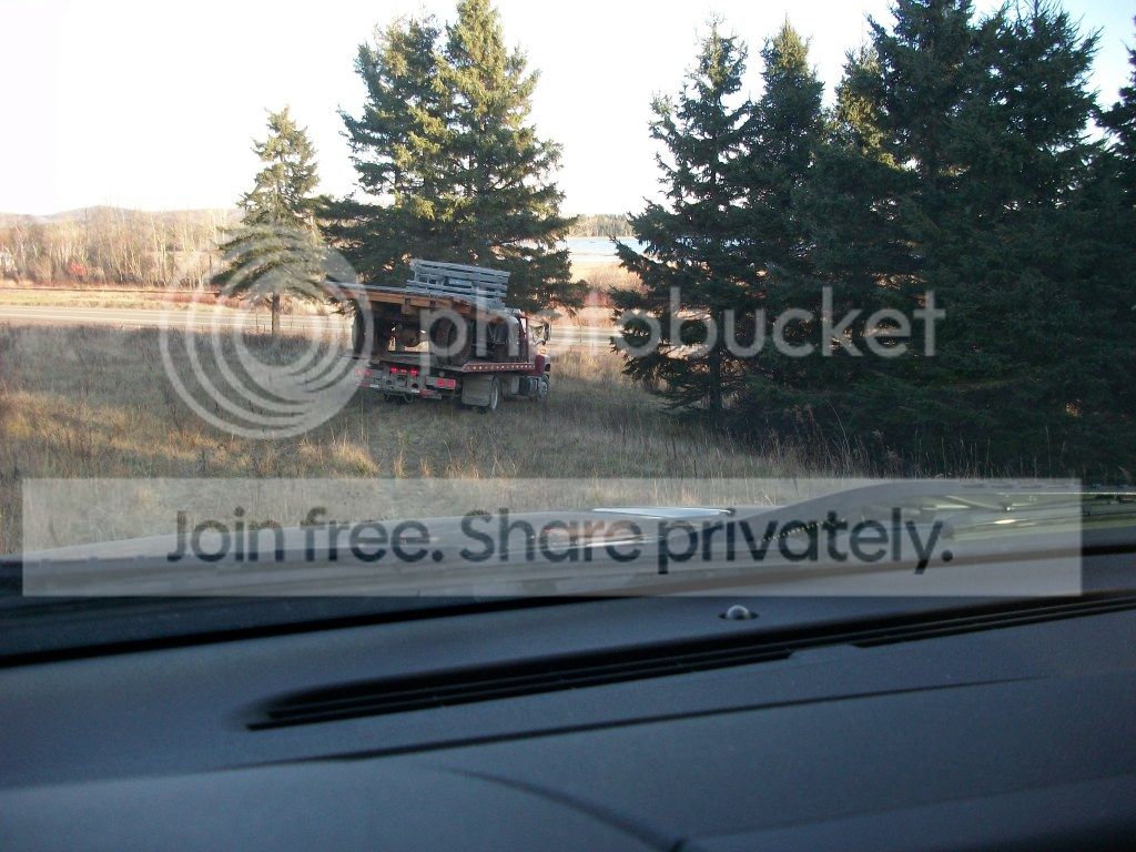 newfordtruck001.jpg