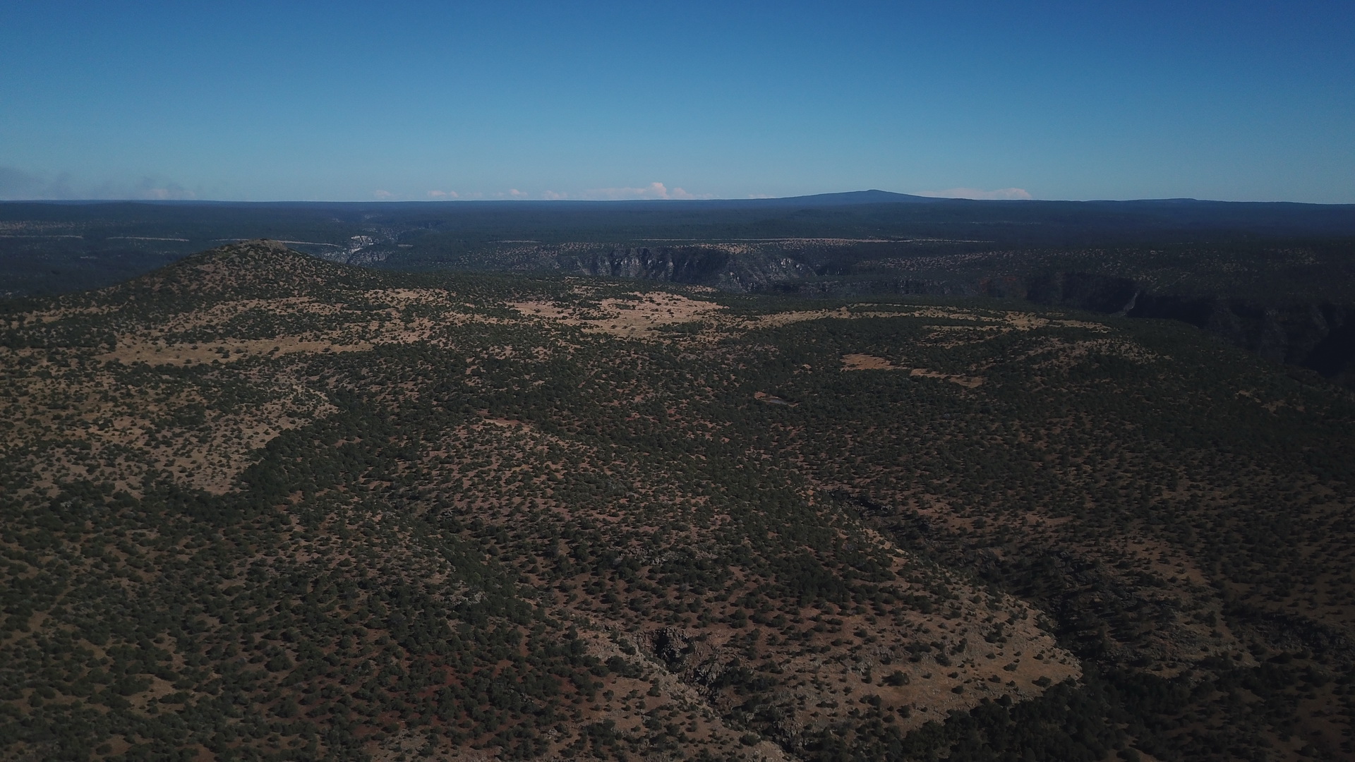 DJI_0551.JPG