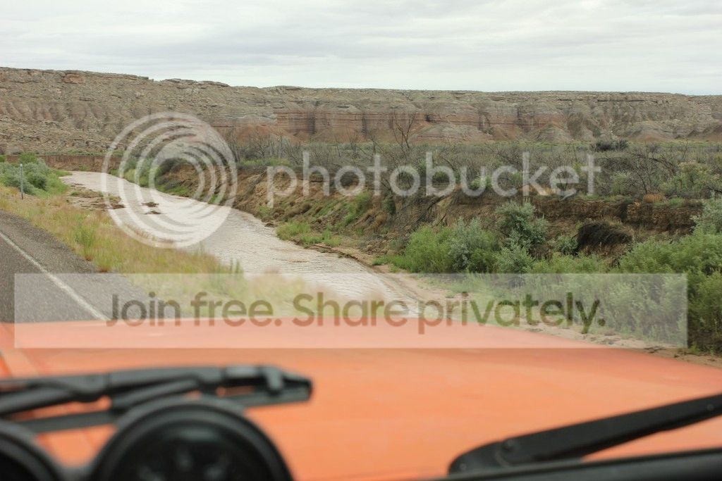 IMG_1072_zpsos3w0ghw.jpg
