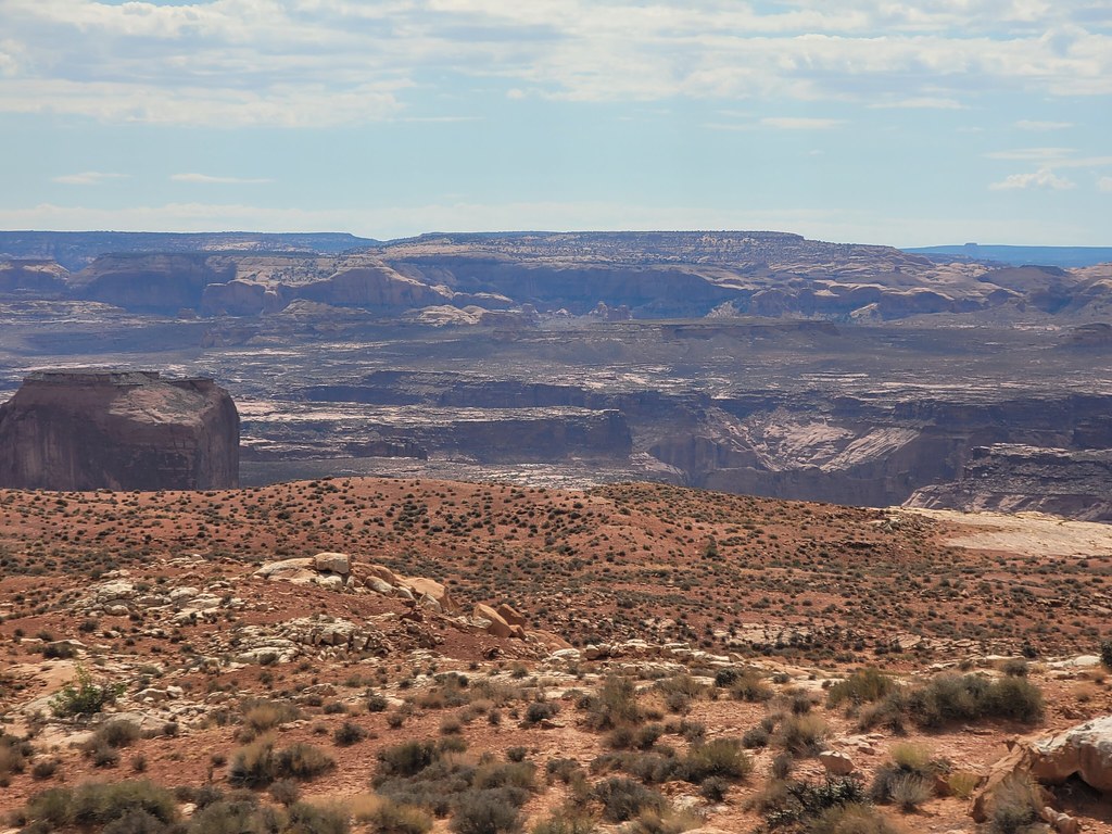 52199493188_f1a974d2d8_b.jpg
