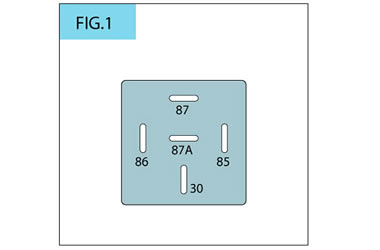 fig_1copy.jpg