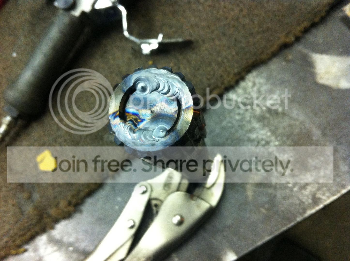 IMG_0563_zps6cb87d68.jpg