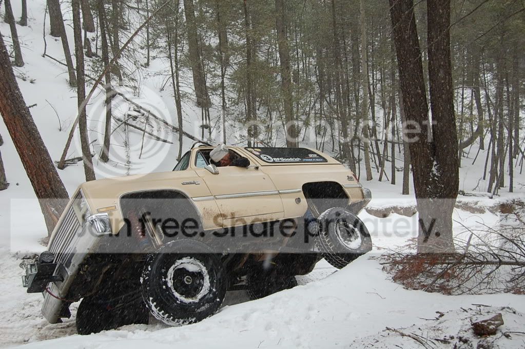 DSC_0102.jpg