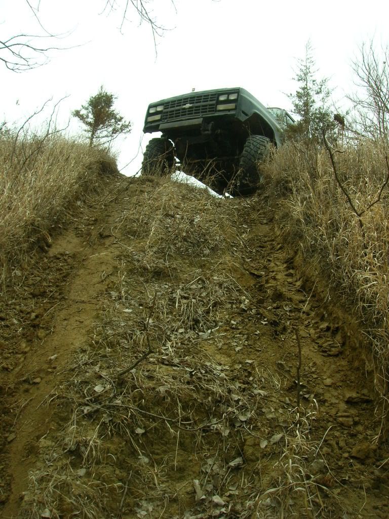 Picture002-1.jpg