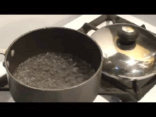 GIFBoilingWater.gif