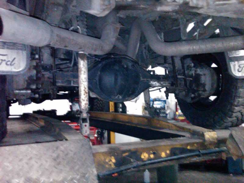 IMG00626-20110217-0903.jpg