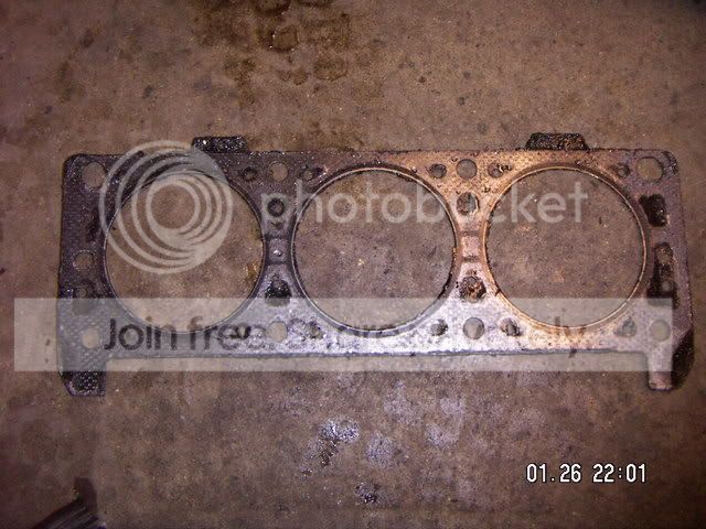 PICT0066.jpg