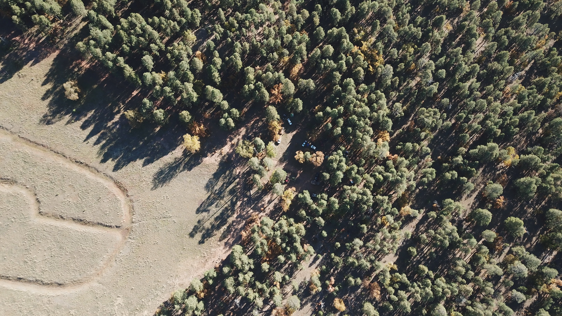 DJI_0597.JPG