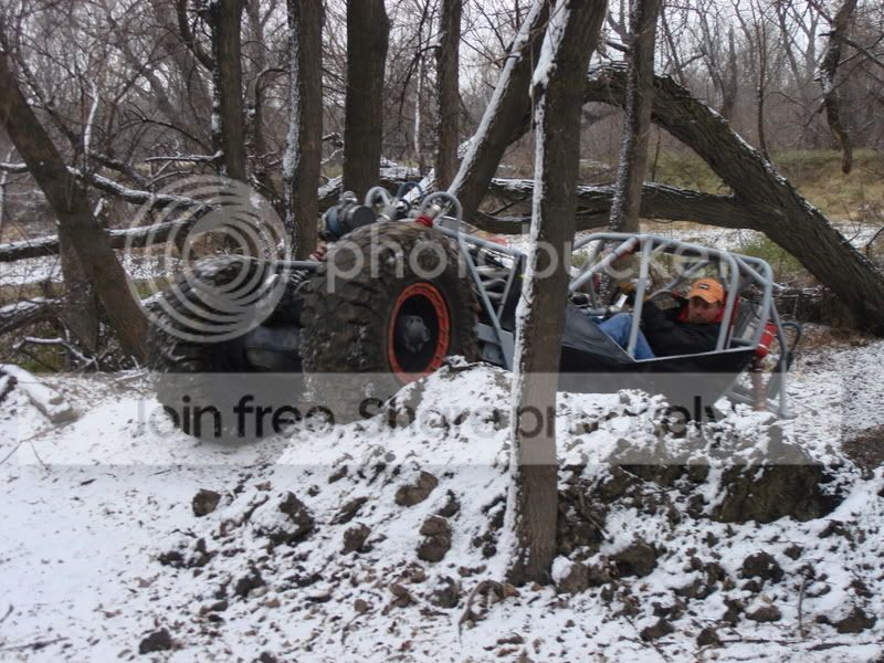 Buggy005.jpg