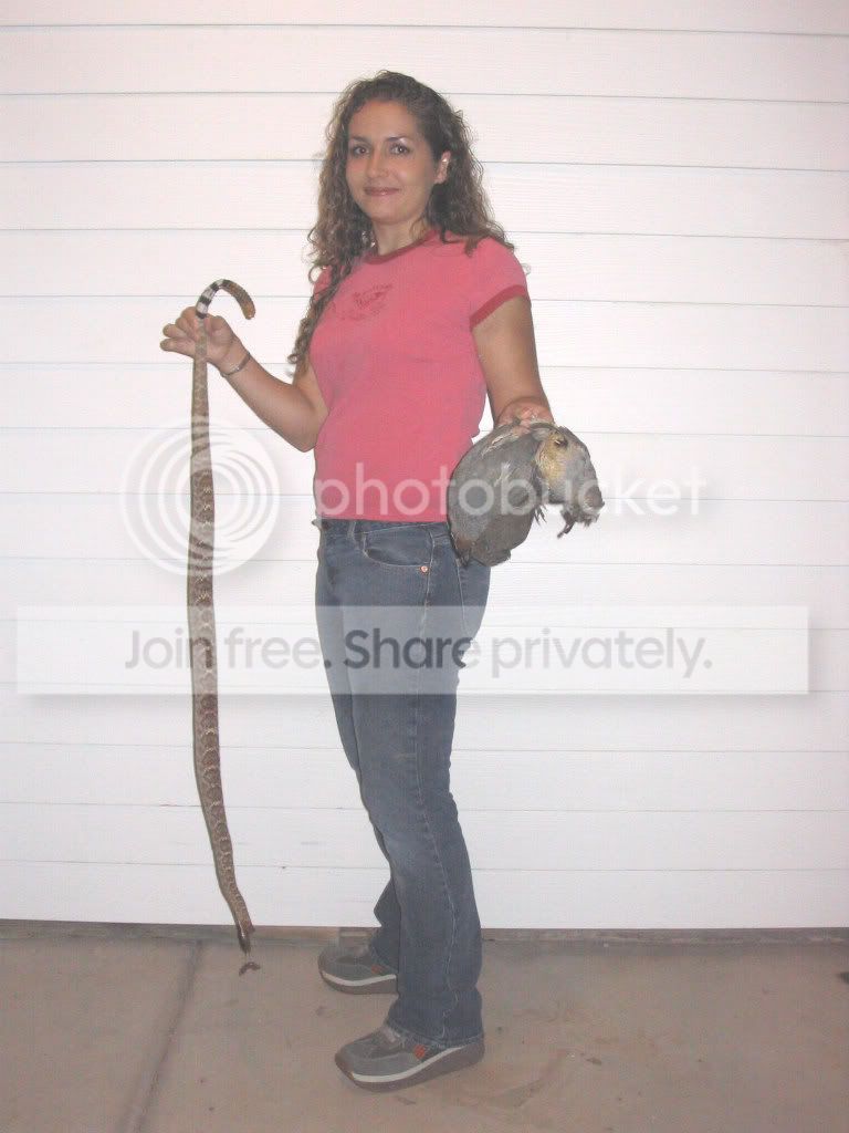 10-04AZrattlernquail.jpg