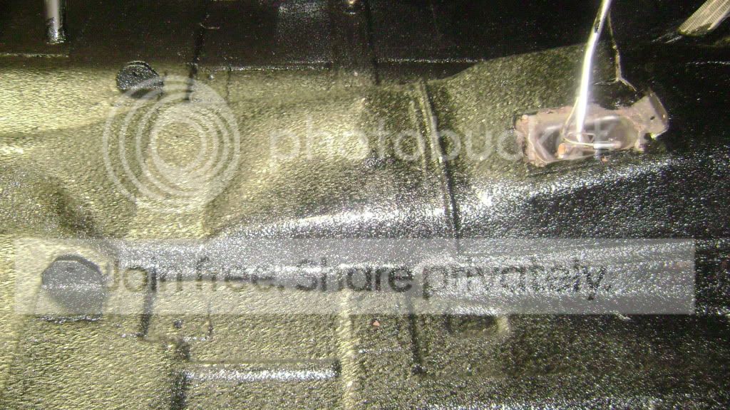 DSC01074.jpg