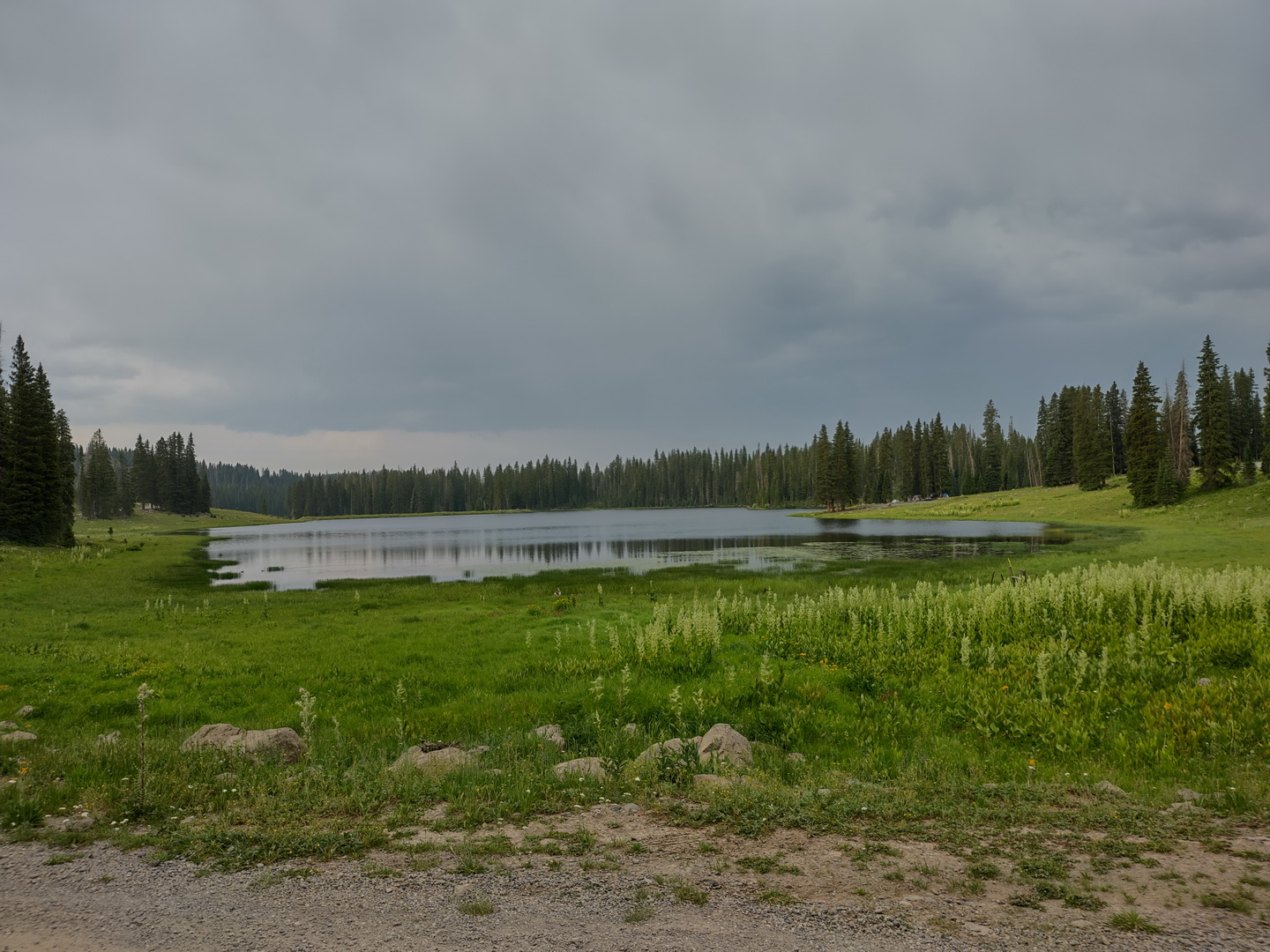 IMG_20210713_164050385_HDR.jpg