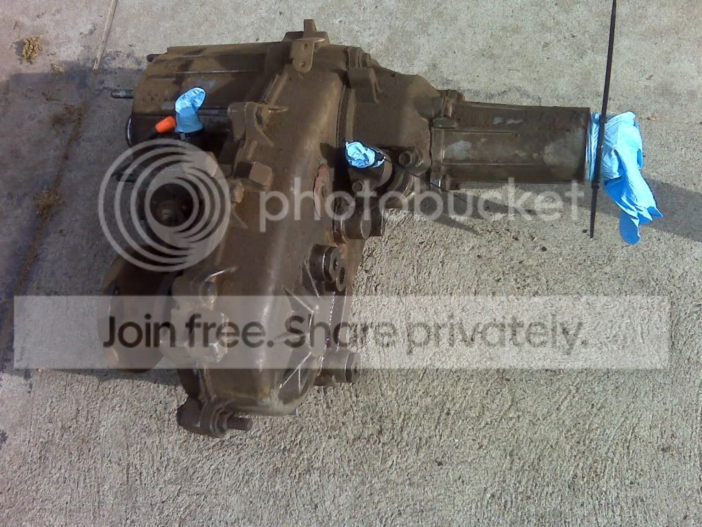 IMG00428.jpg