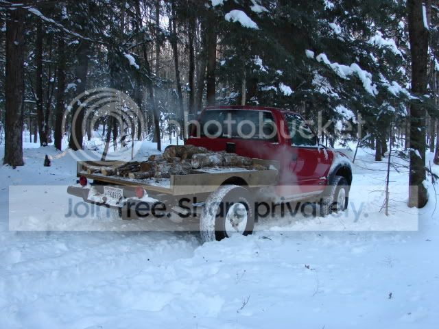 DSC01428.jpg