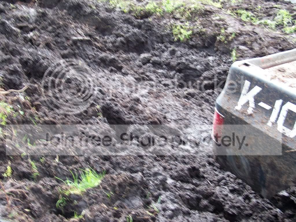 Picture051.jpg