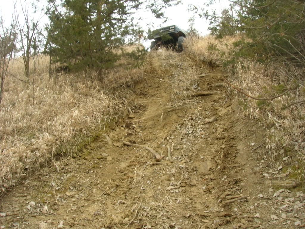 Picture004-1.jpg