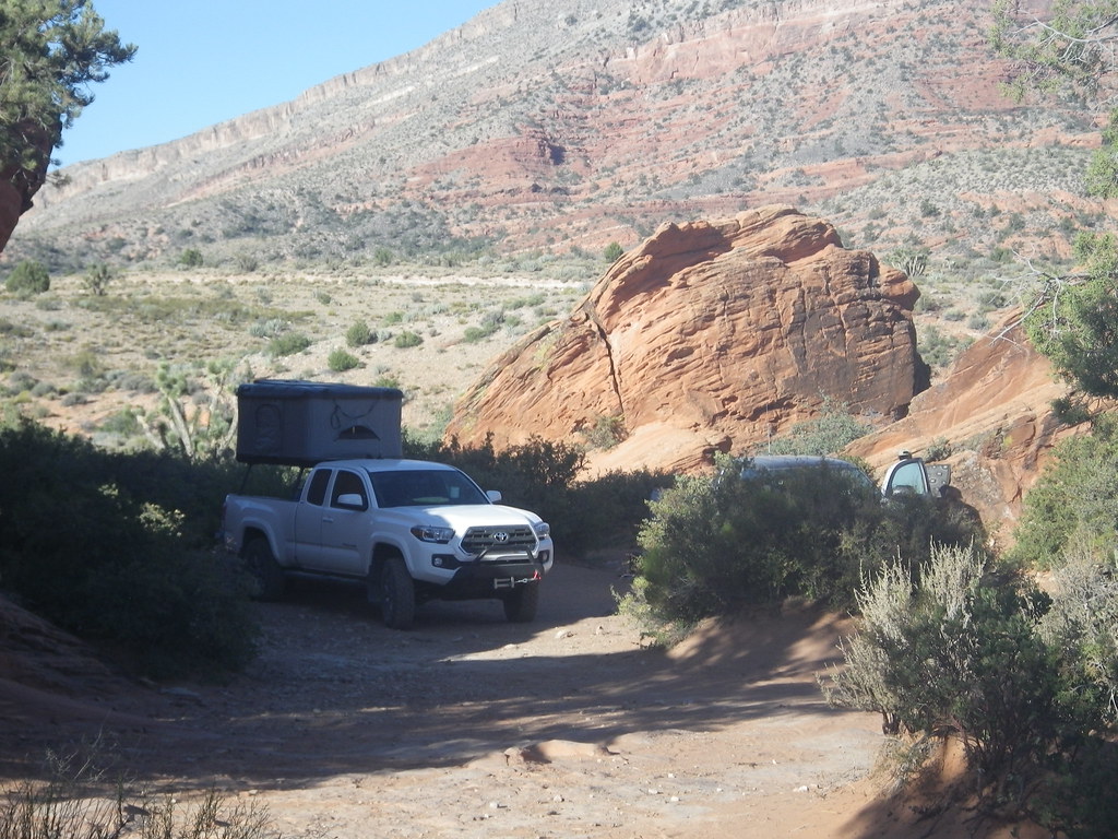 41820014535_bfa3764d63_b.jpg