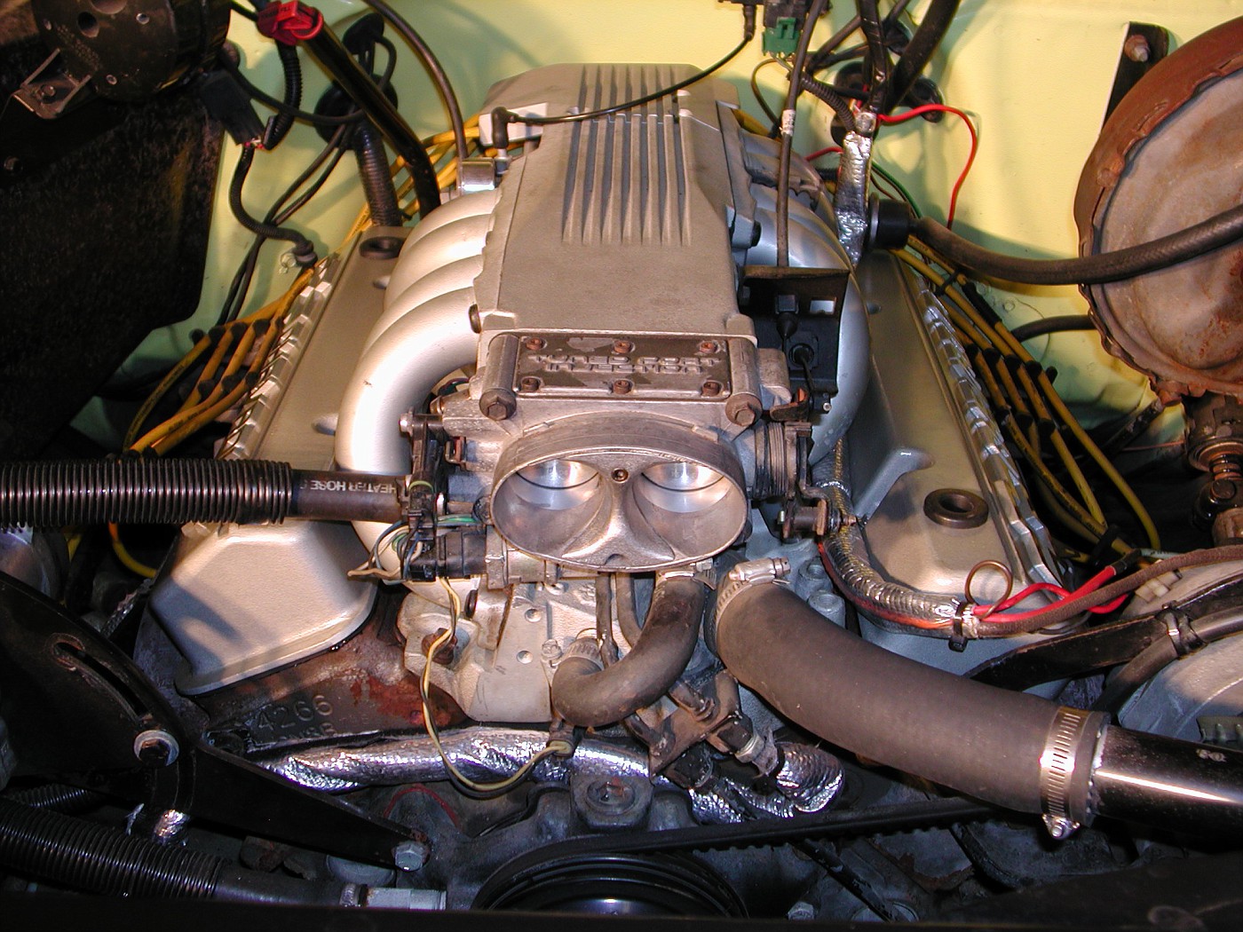 DSCN3000-vi.jpg