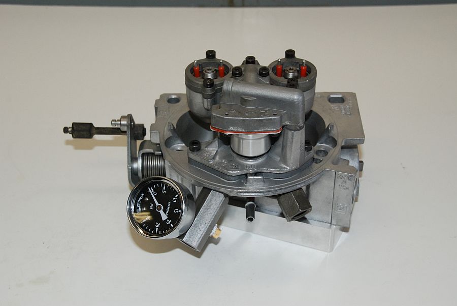 tbiu-46.jpg