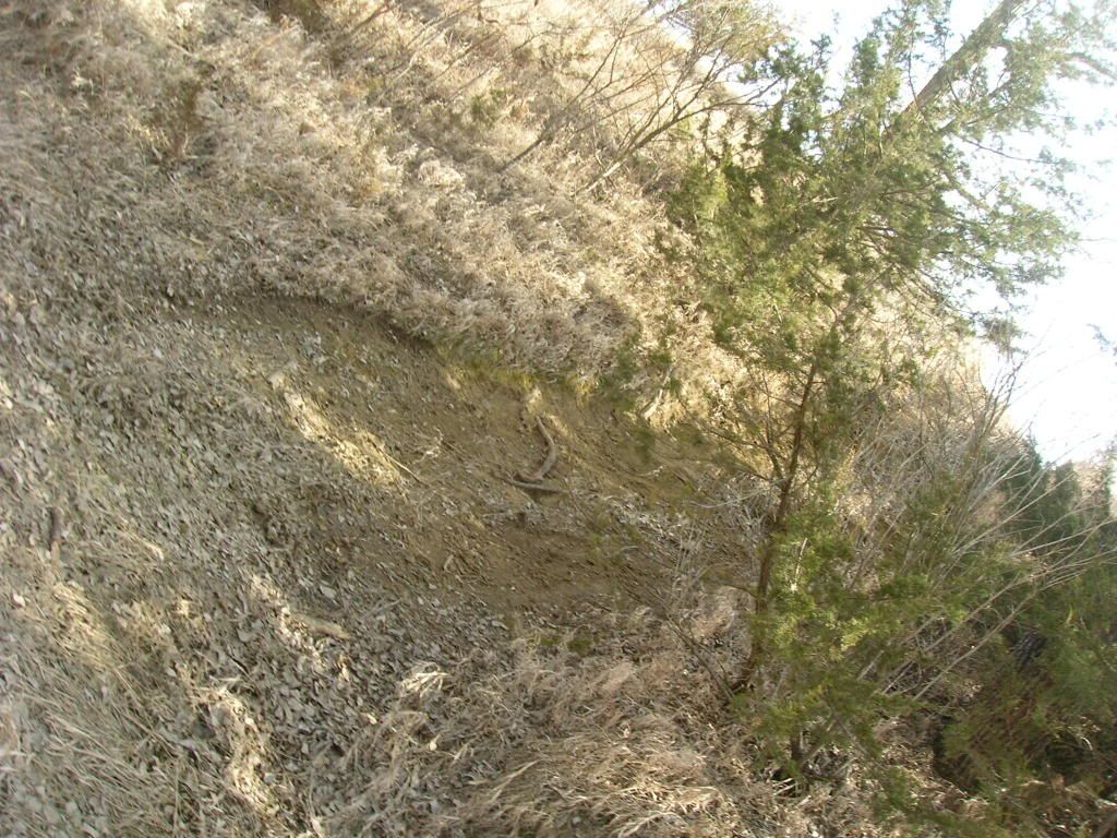 Picture015.jpg