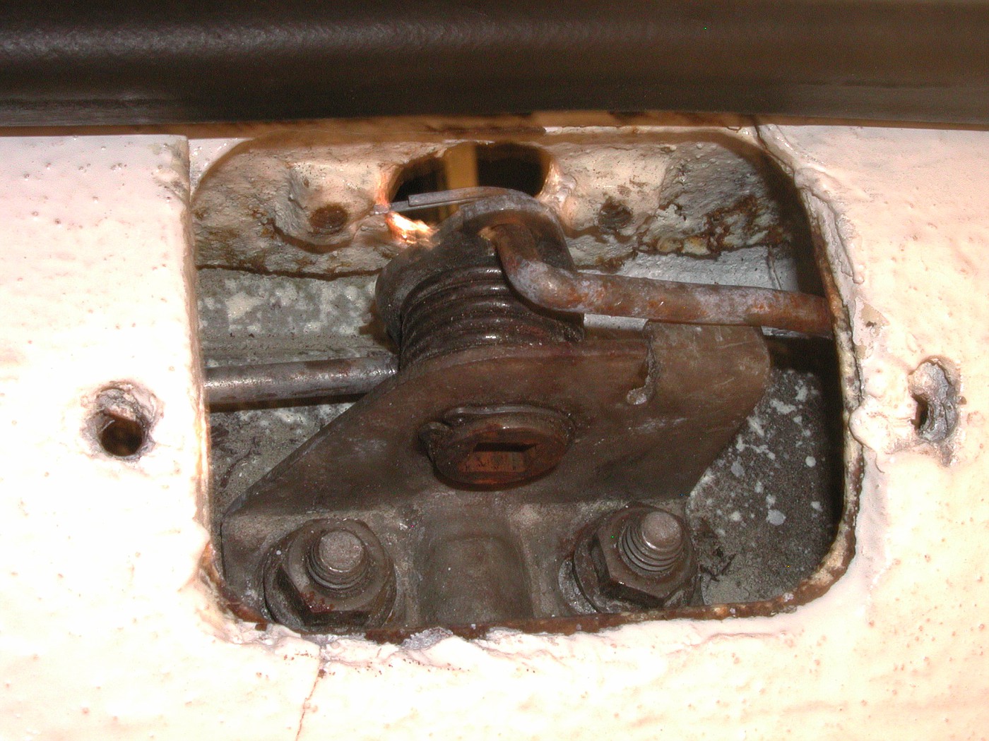 DSCN1978-vi.jpg