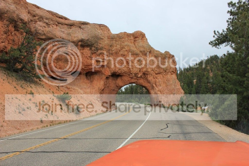 IMG_0478_zpsxyh4x9o3.jpg