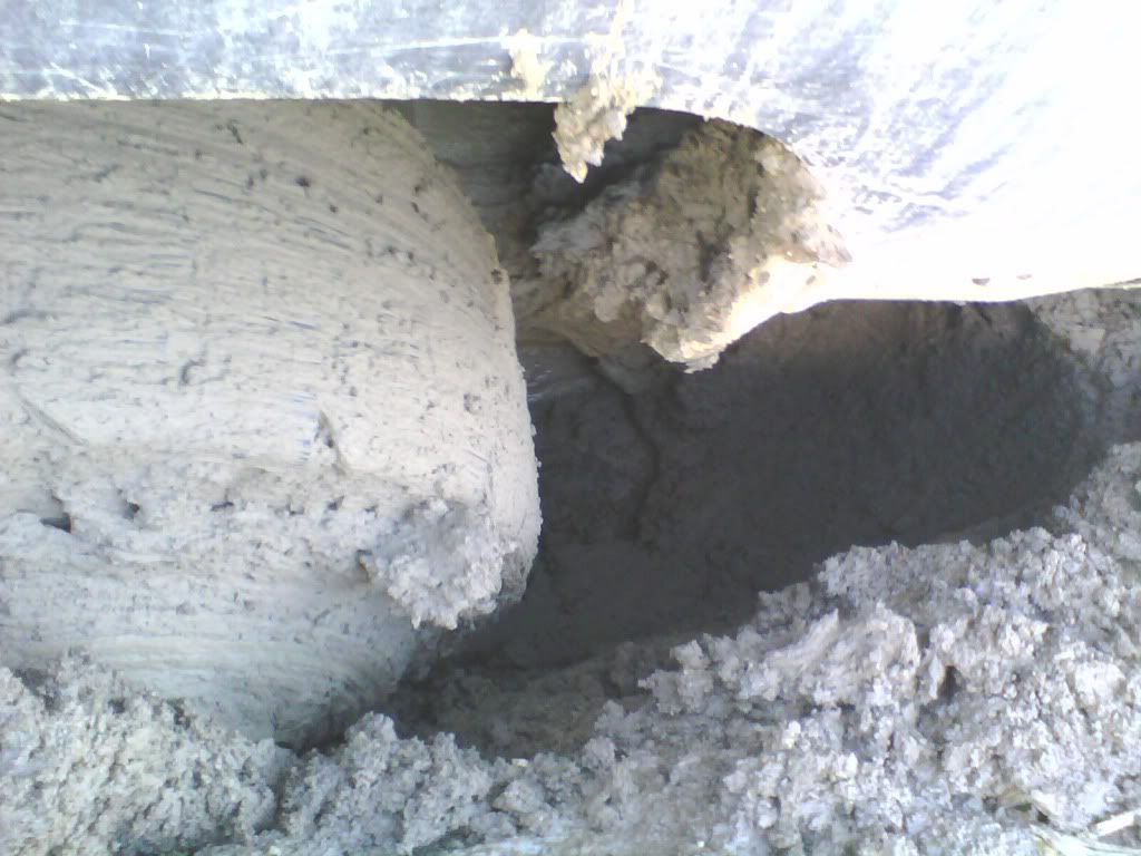 IMG0020A.jpg