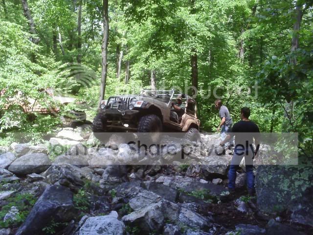 053.jpg