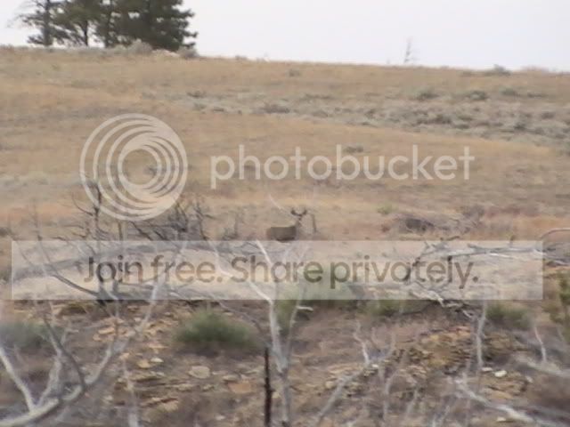 PIC_0331.jpg