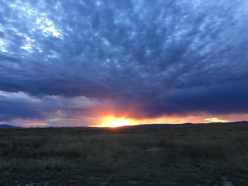 27747094561_f20e5f0c09_c.jpg