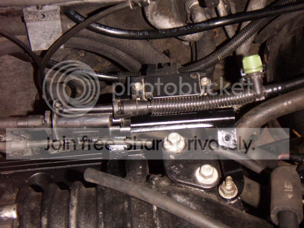 PICT0696.jpg