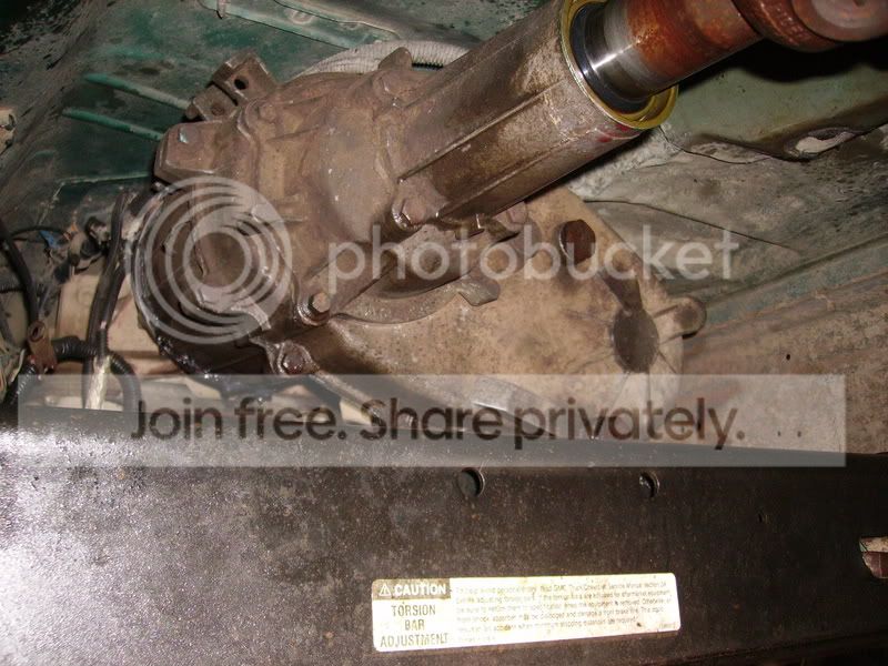 PICT0968.jpg