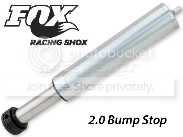 foxbump.jpg