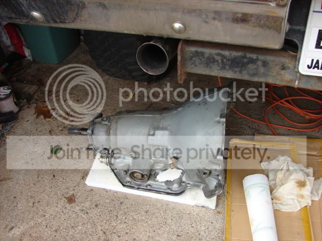 DSC01408.jpg