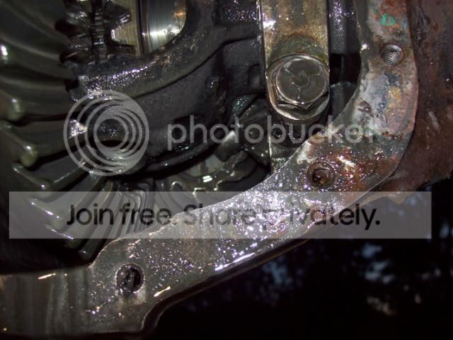 007-15.jpg