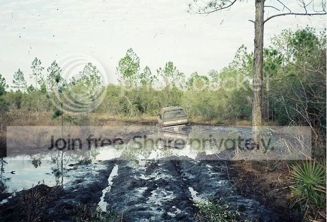 Swamp2.jpg