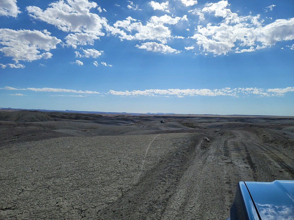 52199852894_23653cc502_b.jpg