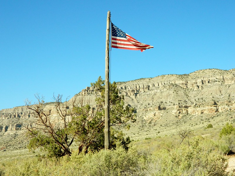 28141757345_f66650b555_c.jpg